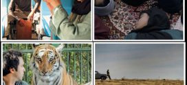 ۴ فیلم ایرانی به جشنواره زوریخ دعوت شدند